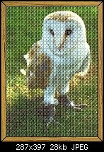 Click image for larger version. 

Name:	!girly_cross_stitch.jpg 
Views:	354 
Size:	27.8 KB 
ID:	9992