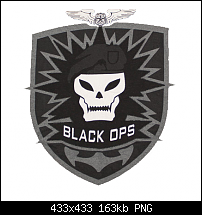Click image for larger version. 

Name:	black ops.png 
Views:	266 
Size:	163.0 KB 
ID:	80333
