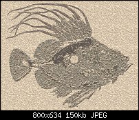 Click image for larger version. 

Name:	Old Fishs.jpg 
Views:	126 
Size:	150.1 KB 
ID:	94700