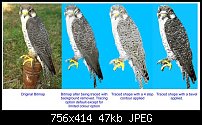 Click image for larger version. 

Name:	owl.jpg 
Views:	423 
Size:	46.7 KB 
ID:	18894