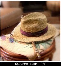 Click image for larger version. 

Name:	Hat+flute.jpg 
Views:	147 
Size:	46.9 KB 
ID:	111860