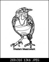 Click image for larger version. 

Name:	meadowlarkoutline.jpg 
Views:	209 
Size:	13.4 KB 
ID:	26463