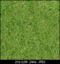 Click image for larger version. 

Name:	grass-new.jpg 
Views:	137 
Size:	23.9 KB 
ID:	110472