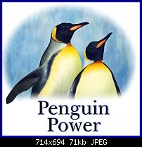 Click image for larger version. 

Name:	penguins alone.jpg 
Views:	704 
Size:	71.3 KB 
ID:	37923