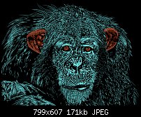 Click image for larger version. 

Name:	Chimpanzee.jpg 
Views:	182 
Size:	170.9 KB 
ID:	96407