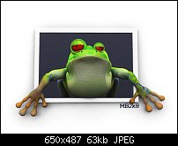 Click image for larger version. 

Name:	frog.jpg 
Views:	381 
Size:	63.3 KB 
ID:	46164