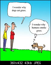 Click image for larger version. 

Name:	Grass.jpg 
Views:	59 
Size:	43.0 KB 
ID:	116390