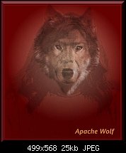 Click image for larger version. 

Name:	Apache_Wolf.jpg 
Views:	302 
Size:	25.2 KB 
ID:	7388