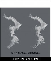 Click image for larger version. 

Name:	equine snake.jpg 
Views:	392 
Size:	46.7 KB 
ID:	101130