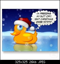 Click image for larger version. 

Name:	freezing_santa_duck_postcard-p2390636292364096237onr_325.jpg 
Views:	614 
Size:	25.9 KB 
ID:	54518