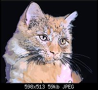 Click image for larger version. 

Name:	cat intoc ct.jpg 
Views:	293 
Size:	59.4 KB 
ID:	41036