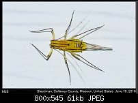 Click image for larger version. 

Name:	bug11.jpg 
Views:	198 
Size:	61.0 KB 
ID:	114159
