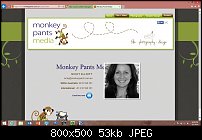Click image for larger version. 

Name:	monkey pants media.jpg 
Views:	90 
Size:	53.4 KB 
ID:	101408