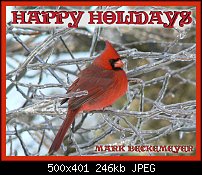 Click image for larger version. 

Name:	buckobeckhappyholidays.jpg 
Views:	246 
Size:	246.4 KB 
ID:	68461