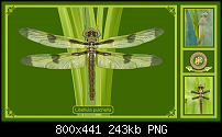 Click image for larger version. 

Name:	dragonflyposter.png 
Views:	370 
Size:	243.2 KB 
ID:	67903
