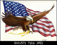 Click image for larger version. 

Name:	eagle-flag.jpg 
Views:	247 
Size:	70.6 KB 
ID:	93279