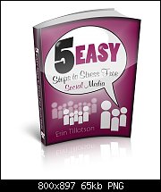 Click image for larger version. 

Name:	5 Easy Steps Cover 3D - large.jpg 
Views:	181 
Size:	64.8 KB 
ID:	90130