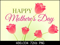 Click image for larger version. 

Name:	mother's day 1.png 
Views:	117 
Size:	71.5 KB 
ID:	120339