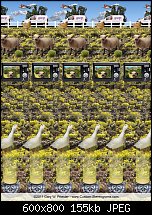 Click image for larger version. 

Name:	Yellow Hills.jpg 
Views:	355 
Size:	154.7 KB 
ID:	85653