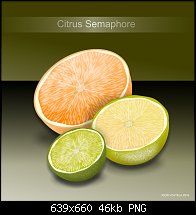 Click image for larger version. 

Name:	CITRUS SEMAPHORE2.jpg 
Views:	157 
Size:	46.4 KB 
ID:	113932