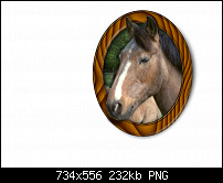 Click image for larger version. 

Name:	horse.png 
Views:	241 
Size:	231.5 KB 
ID:	48873