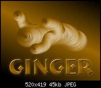 Click image for larger version. 

Name:	ginger.jpg 
Views:	420 
Size:	45.3 KB 
ID:	6485