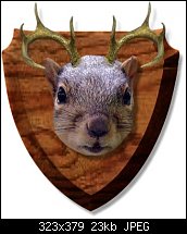 Click image for larger version. 

Name:	Trophy_Squirrel.jpg 
Views:	222 
Size:	22.9 KB 
ID:	10935