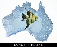 Click image for larger version. 

Name:	Aussie fish2.jpg 
Views:	184 
Size:	66.1 KB 
ID:	31627