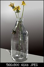 Click image for larger version. 

Name:	milk bottle.jpg 
Views:	234 
Size:	40.7 KB 
ID:	76802