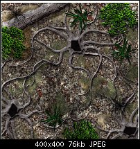 Click image for larger version. 

Name:	forest-floor-thumb.jpg 
Views:	346 
Size:	76.1 KB 
ID:	98970