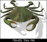 Click image for larger version. 

Name:	crab-800.jpg 
Views:	114 
Size:	52.8 KB 
ID:	101645