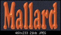 Click image for larger version. 

Name:	Mallard.jpg 
Views:	132 
Size:	20.9 KB 
ID:	23549
