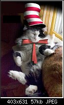Click image for larger version. 

Name:	Dom in the Hat.jpg 
Views:	217 
Size:	56.7 KB 
ID:	114458