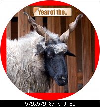Click image for larger version. 

Name:	goat2.jpg 
Views:	145 
Size:	87.1 KB 
ID:	106172
