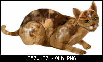 Click image for larger version. 

Name:	tortiecat_mayas.png 
Views:	175 
Size:	40.2 KB 
ID:	99954